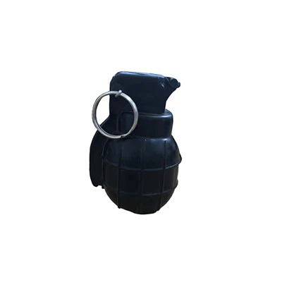 Има ли културни различия при използването на симулирани полета за обучение?